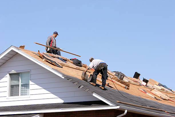 Best Roof Coating and Sealing  in Nashville, AR